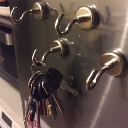 Geckoteq Aimant pour plafond suspendu avec crochet - 16x27mm - 5kg